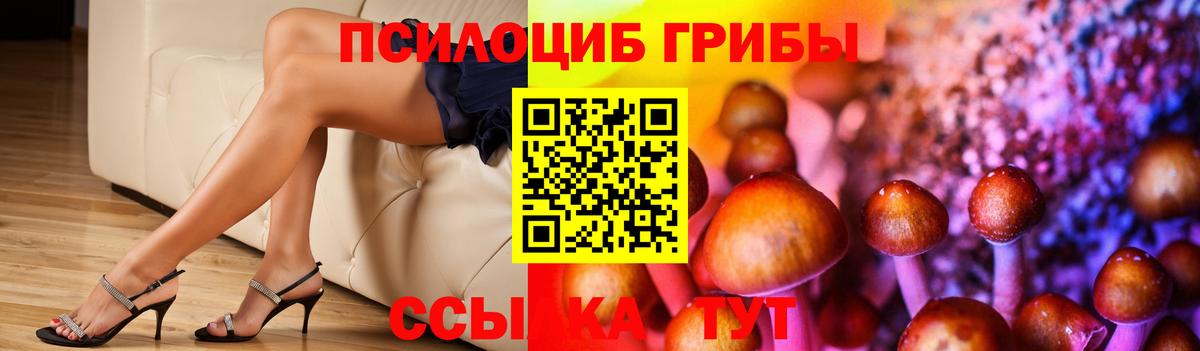 Псилоцибиновые грибы MAGIC MUSHROOMS Богородск